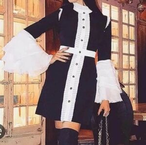 Elegant Black and White Ruffle Dress